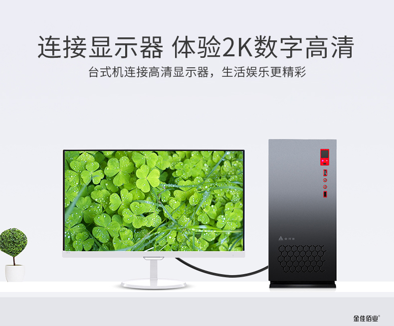 DVI線連接顯示器 DVI線連接顯示器